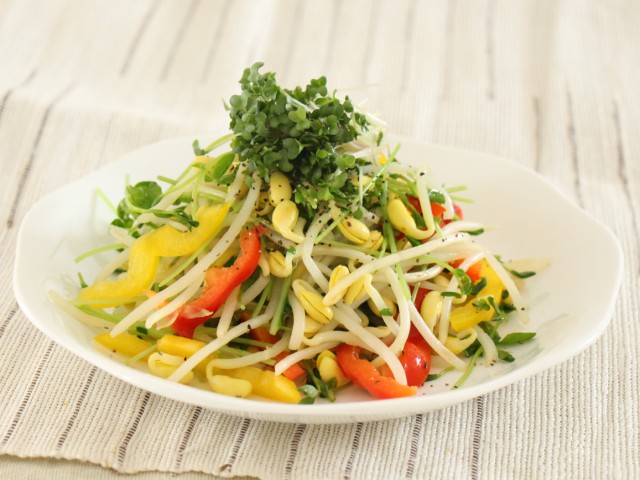 大豆もやしとブロッコリー新芽のサラダ