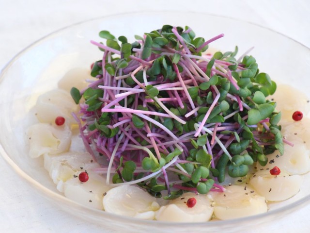 彩りサラダかいわれとホタテの前菜