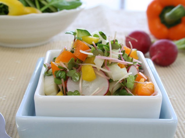 赤ラディッシュの新芽 コールスロー風