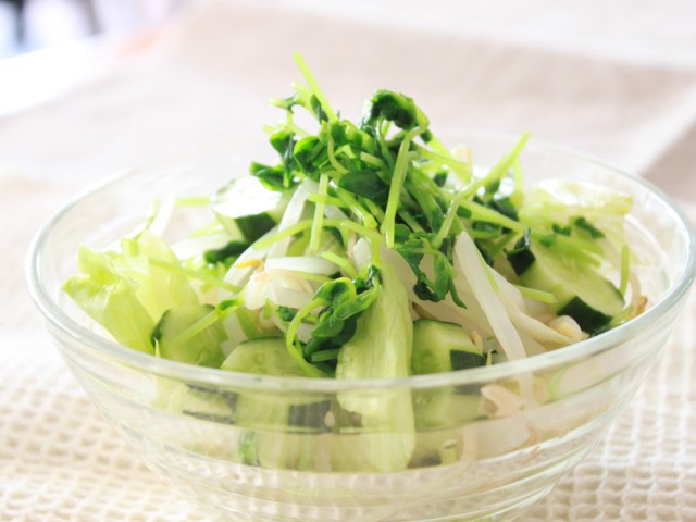 豆苗で緑のサラダ