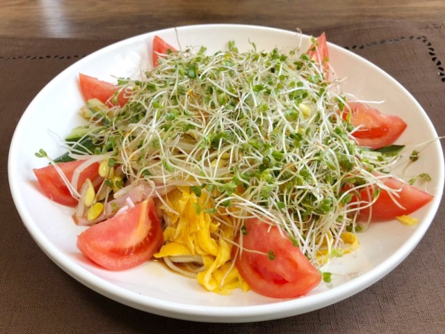 スルフォラファンスプラウト 彩り冷やし中華