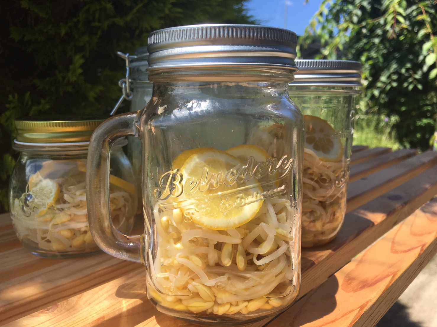 疲労回復に2つのチカラ~もやしレモンでクエン酸+アスパラギン酸~