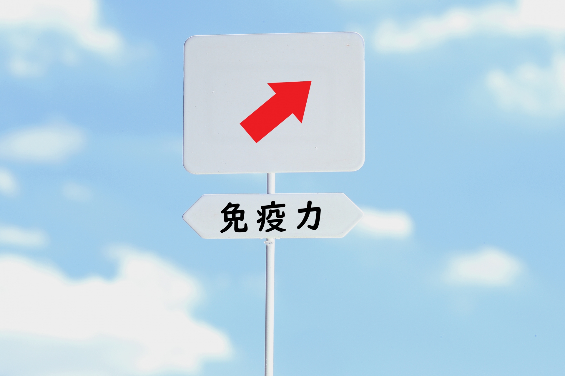 免疫とは?
