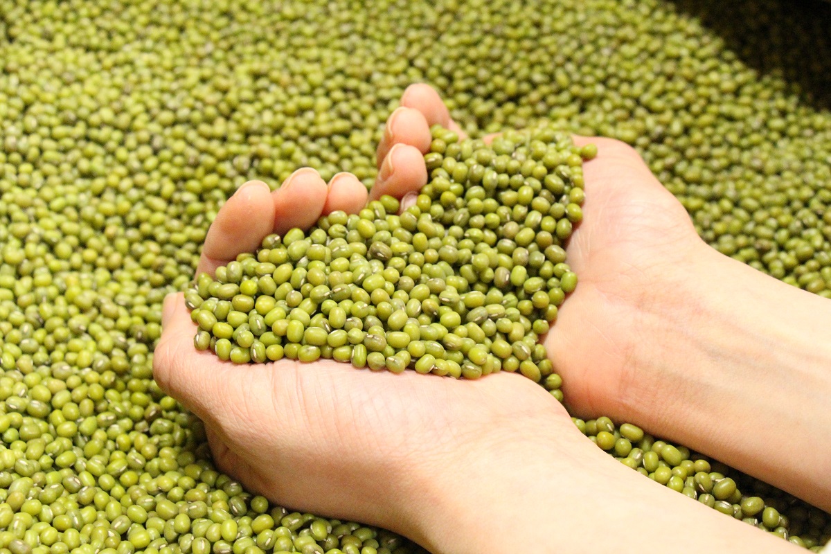 サラダコスモ 野菜に夢中研究所・研究員 池上珠未