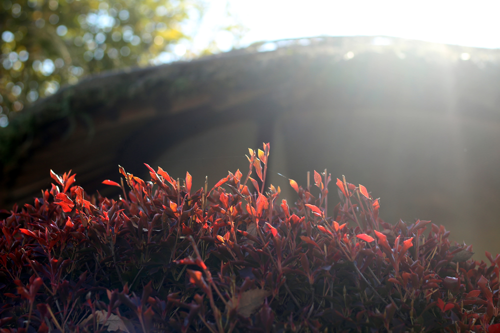 風邪は万病のもと2025